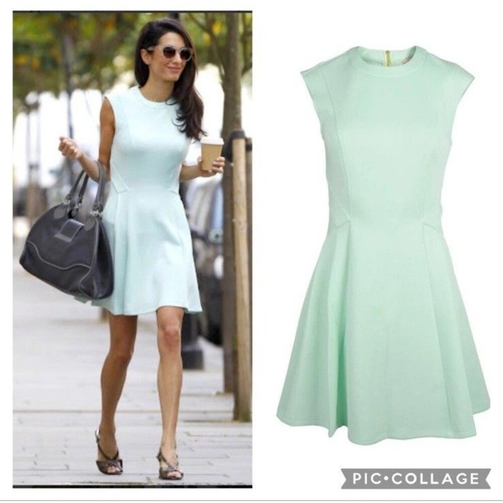 Ted Baker Size 4 US 10 Mint Green Skater Dress Scuba ASO Amal Clooney Round Neck